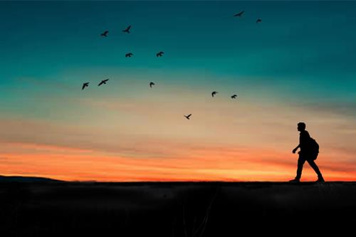 a person walks at sunset as birds fly in the sky