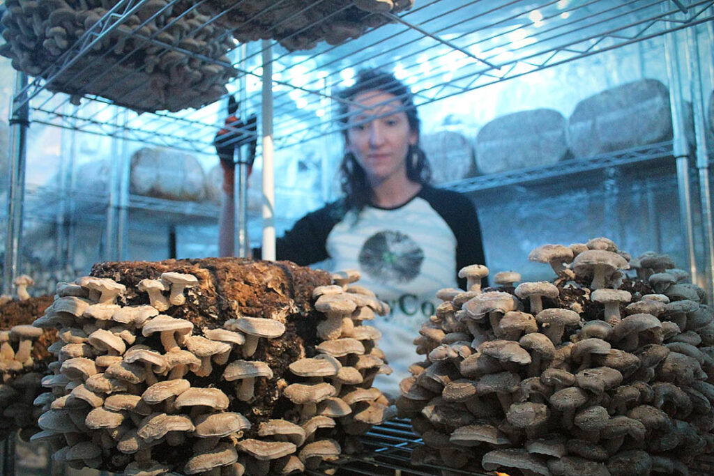 Robin Moore of MyCo Planet checks on growing mushrooms